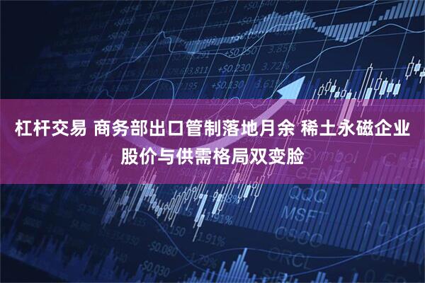 杠杆交易 商务部出口管制落地月余 稀土永磁企业股价与供需格局双变脸