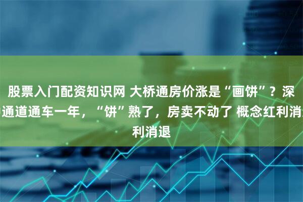 股票入门配资知识网 大桥通房价涨是“画饼”？深中通道通车一年，“饼”熟了，房卖不动了 概念红利消退
